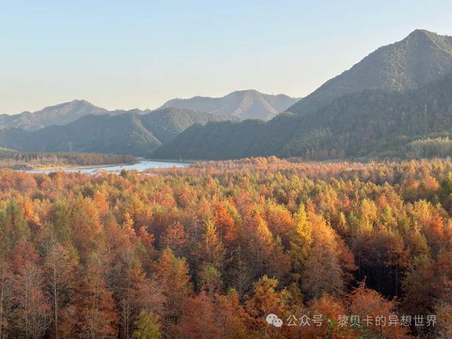 21點：又美又會穿！她們的生活好精彩！