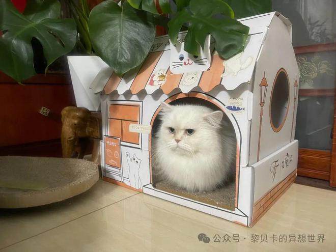 21點：又美又會穿！她們的生活好精彩！