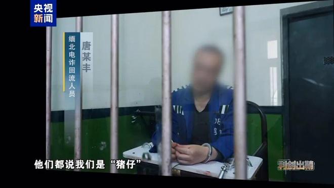 21點:電詐頭目臨刑前仍叫囂狼生來要喫肉