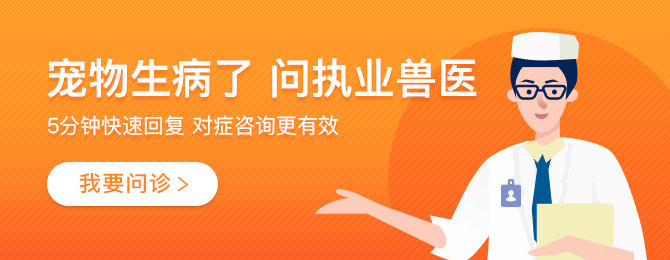 {易七娛樂註冊}(宠物医生在线咨询24小时免费) {易七娛樂註冊}(宠物医生在线咨询24小时免费)