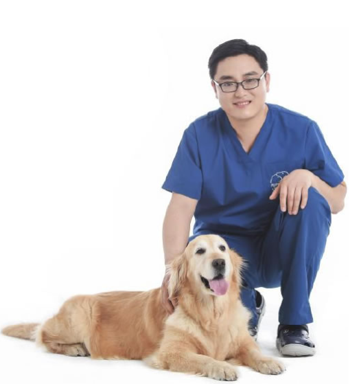 {易七娛樂註冊}(宠物医生在线咨询24小时免费) {易七娛樂註冊}(宠物医生在线咨询24小时免费)