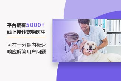 {易七娛樂捕魚機}(线上宠物医生问诊app) {易七娛樂捕魚機}(线上宠物医生问诊app)