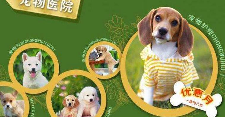 {易七娛樂體育}(想开宠物医院需要学什么) {易七娛樂體育}(想开宠物医院需要学什么)