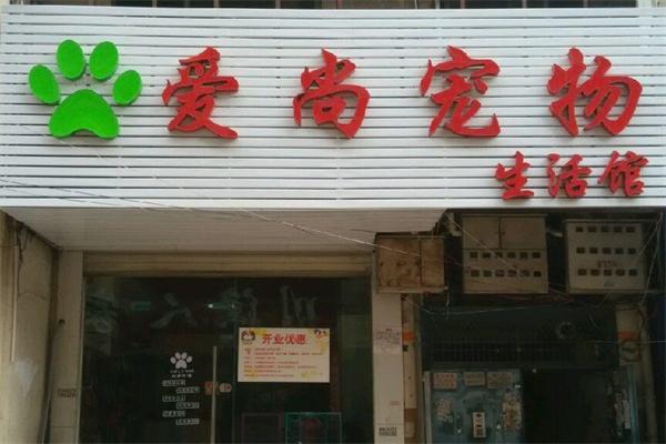 {易七娛樂老虎機}(石台县宠物店电话) {易七娛樂老虎機}(石台县宠物店电话)