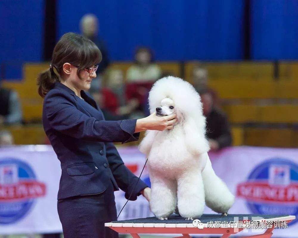{易七娛樂註冊}(中国宠物协会官网) {易七娛樂註冊}(中国宠物协会官网)