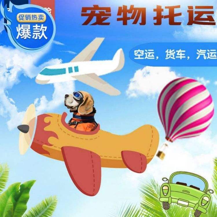 {易七娛樂老虎機}(顺丰宠物托运多少钱宠物寄件) {易七娛樂老虎機}(顺丰宠物托运多少钱宠物寄件)