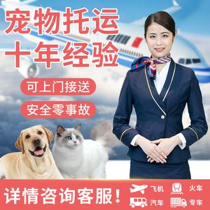 {易七娛樂老虎機}(顺丰宠物托运多少钱宠物寄件) {易七娛樂老虎機}(顺丰宠物托运多少钱宠物寄件)