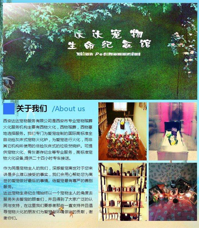 {易七娛樂}(成都宠物火化殡葬公司那家好) {易七娛樂}(成都宠物火化殡葬公司那家好)