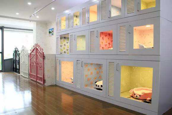 {易七娛樂百家樂}(开个宠物店大概需要多少钱加盟宠物店需要多少%c) {易七娛樂百家樂}(开个宠物店大概需要多少钱加盟宠物店需要多少%c)