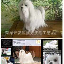 {易七娛樂百家樂}(72种名犬图片及名字) {易七娛樂百家樂}(72种名犬图片及名字)