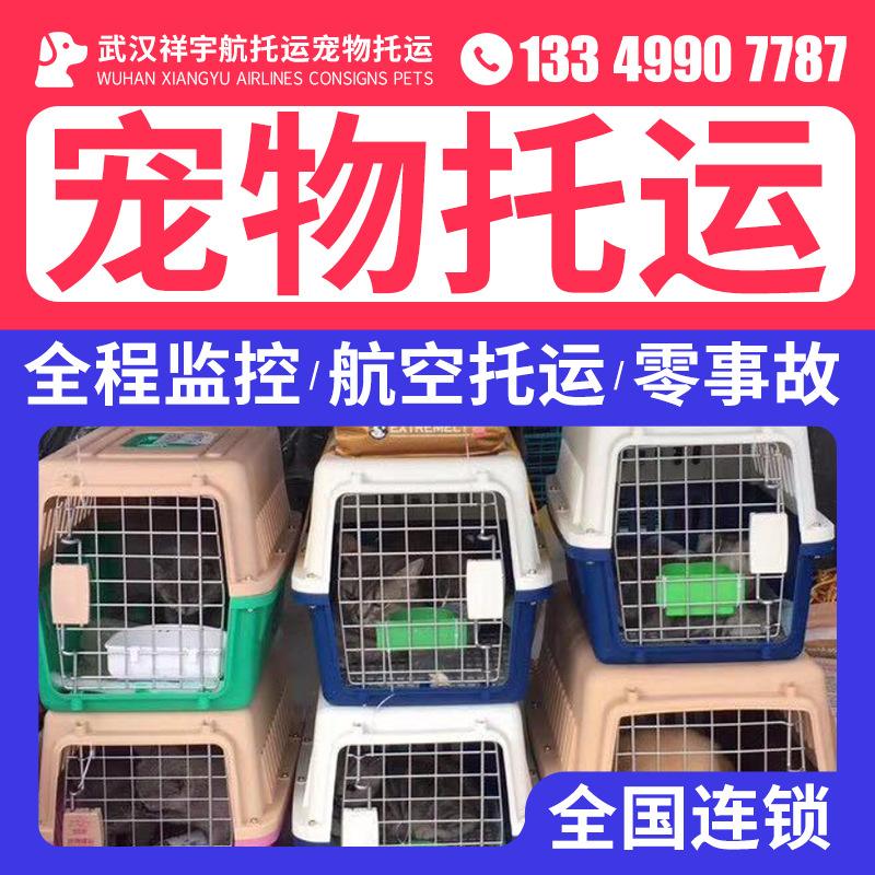 {易七娛樂百家樂}(深圳宠物托运公司哪家比较好一点) {易七娛樂百家樂}(深圳宠物托运公司哪家比较好一点)