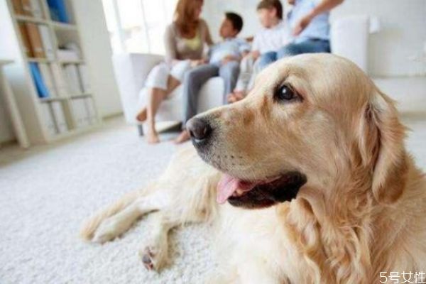 {易七娛樂百家樂}(男人养什么宠物最好) {易七娛樂百家樂}(男人养什么宠物最好)