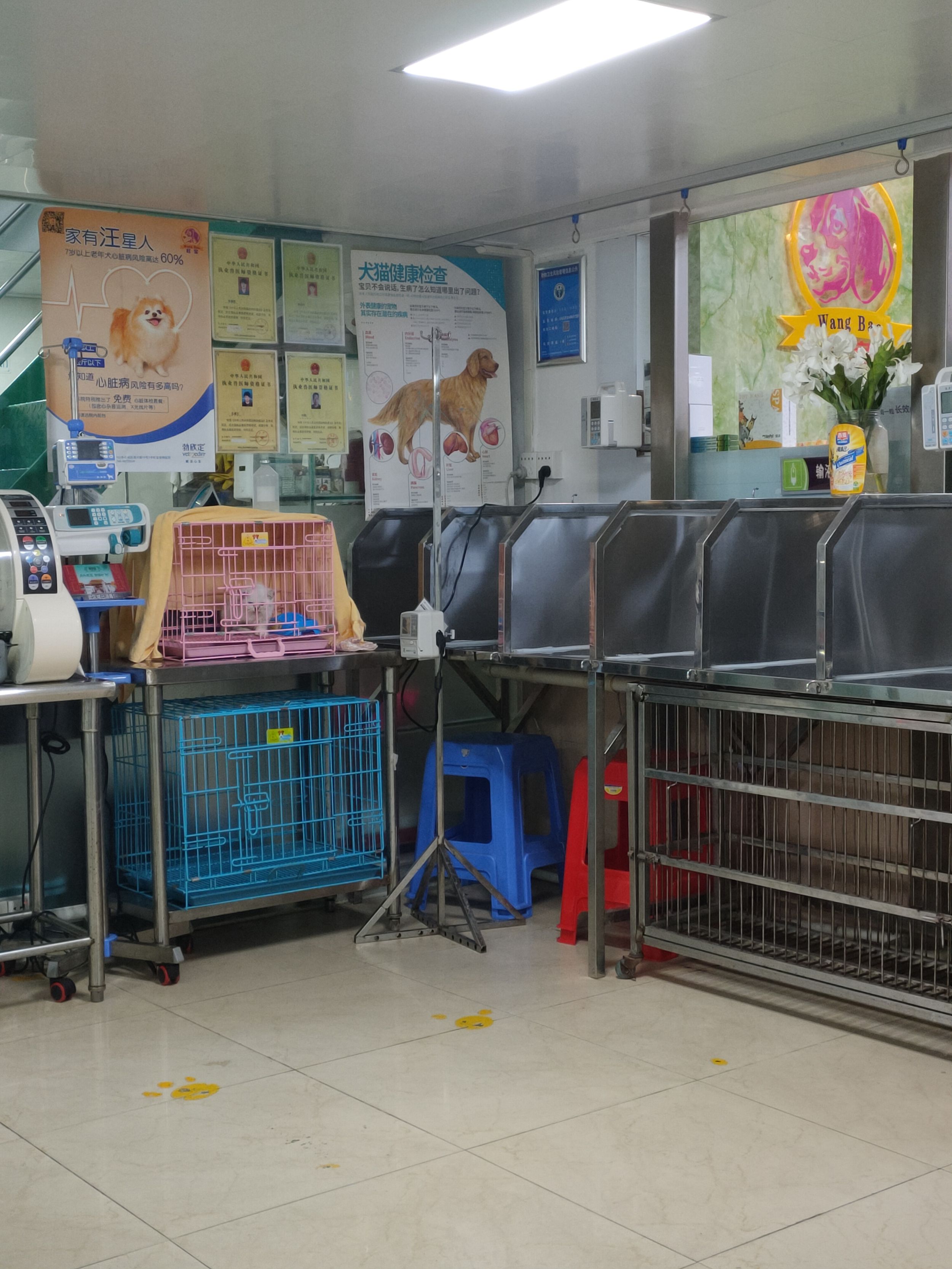 {易七娛樂體育}(一般宠物医院收费标准是多少) {易七娛樂體育}(一般宠物医院收费标准是多少)