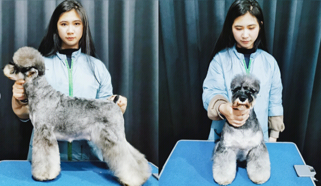 {易七娛樂}(在宠物店美容师助理有多少钱一个月) {易七娛樂}(在宠物店美容师助理有多少钱一个月)