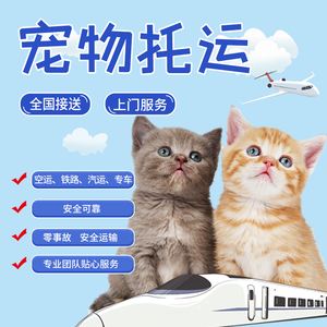 {易七娛樂捕魚機}(全国宠物托运公司哪家好一点)