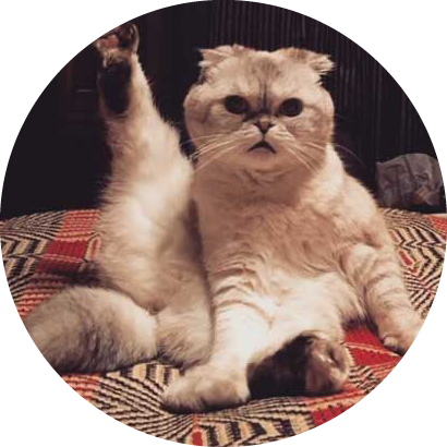 {易七娛樂}(沦为有钱人的宠物狗) {易七娛樂}(沦为有钱人的宠物狗)