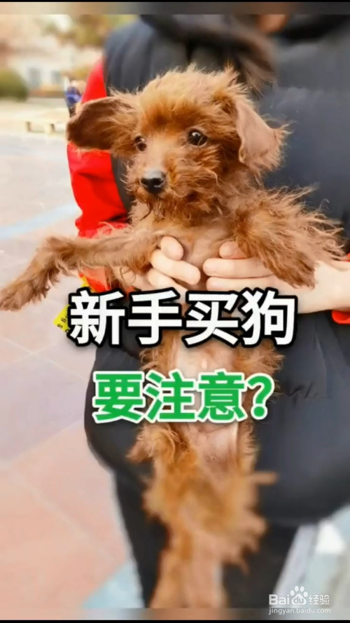 {易七娛樂百家樂}(哪个平台可以出售狗狗宠物) {易七娛樂百家樂}(哪个平台可以出售狗狗宠物)