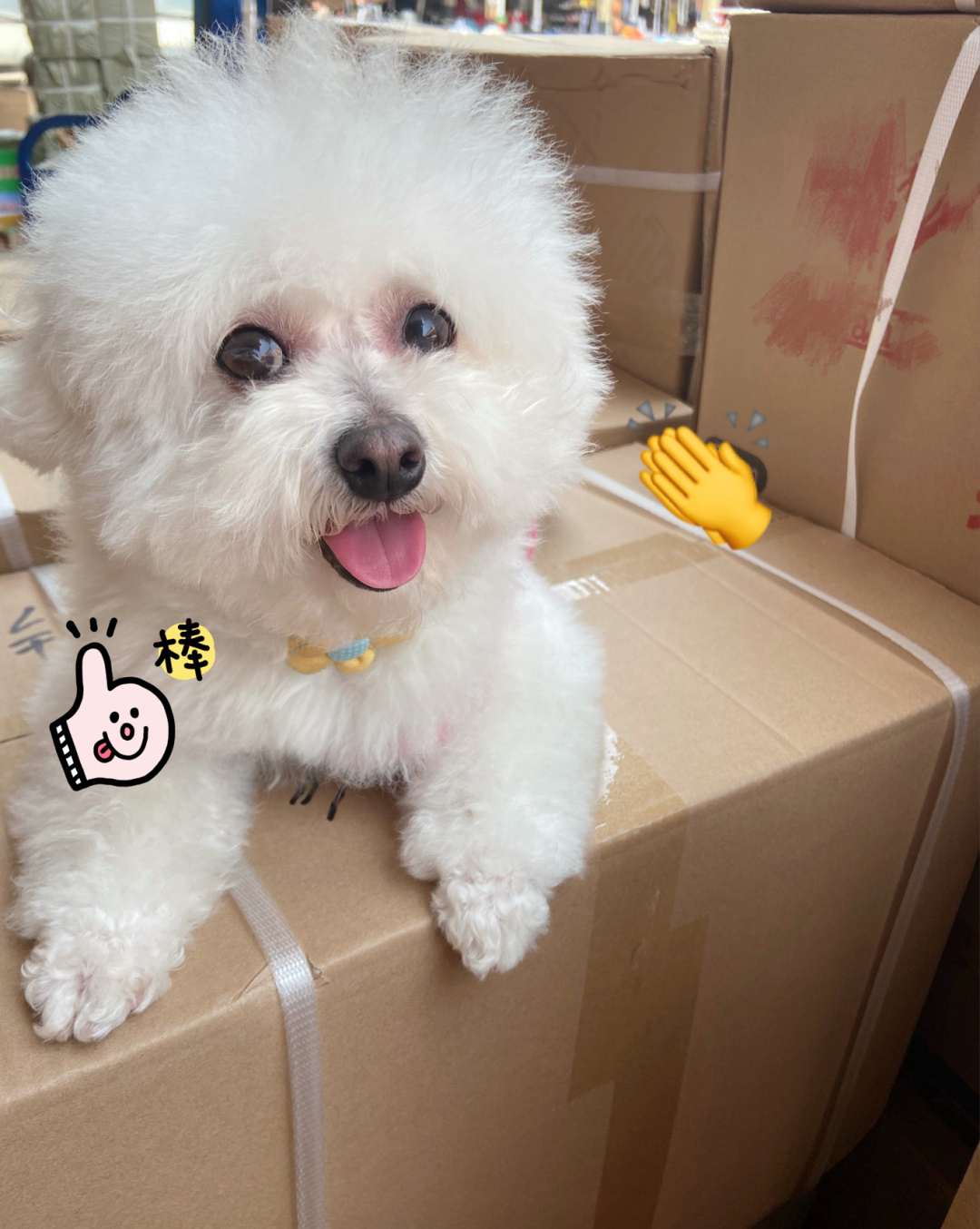 {易七娛樂捕魚機}(网上哪个平台买狗比较正规) {易七娛樂捕魚機}(网上哪个平台买狗比较正规)