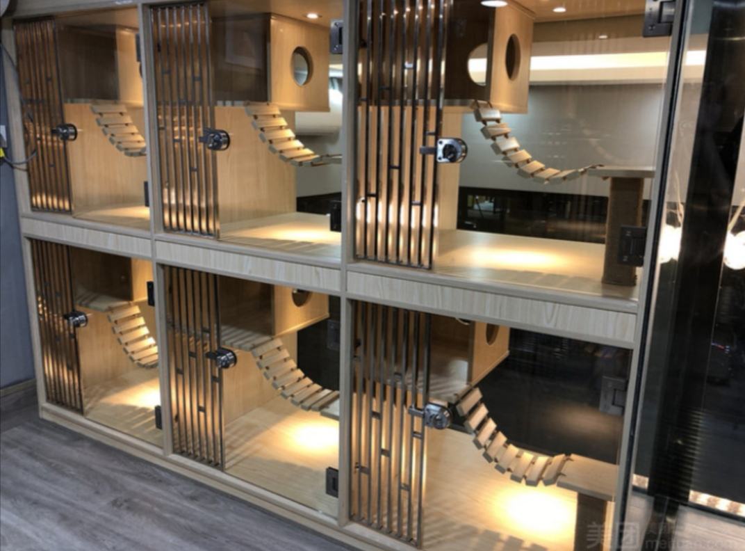 {易七娛樂捕魚機}(宠物店寄养多少钱一天) {易七娛樂捕魚機}(宠物店寄养多少钱一天)