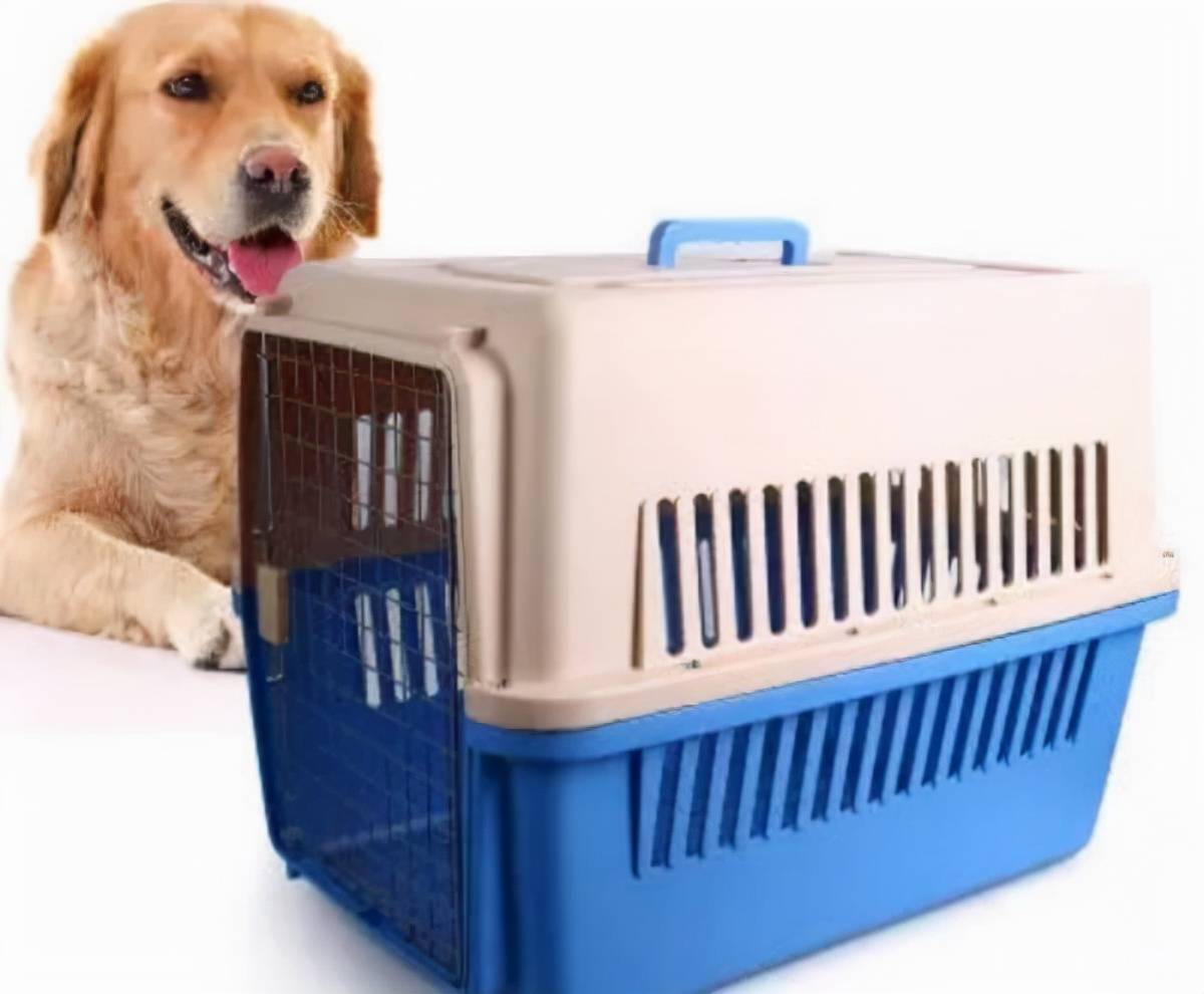 {易七娛樂老虎機}(宠物托运物流公司托运宠物多少钱) {易七娛樂老虎機}(宠物托运物流公司托运宠物多少钱)