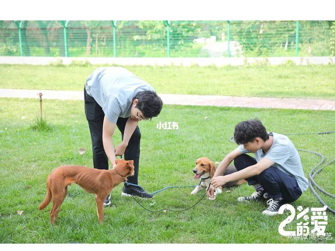 {易七娛樂捕魚機}(12345可以救助猫咪吗) {易七娛樂捕魚機}(12345可以救助猫咪吗)