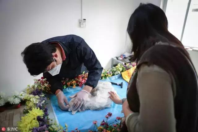 {易七娛樂現金網}(怎样去开一家宠物殡仪馆需要多大地方) {易七娛樂現金網}(怎样去开一家宠物殡仪馆需要多大地方)