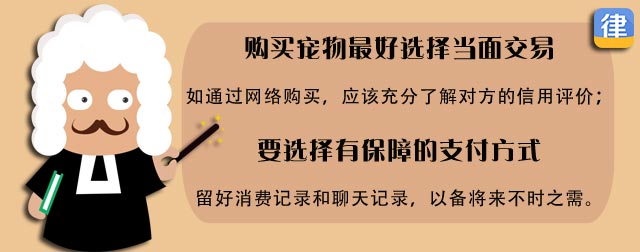 {易七娛樂百家樂}(买宠物去哪个网站比较好) {易七娛樂百家樂}(买宠物去哪个网站比较好)
