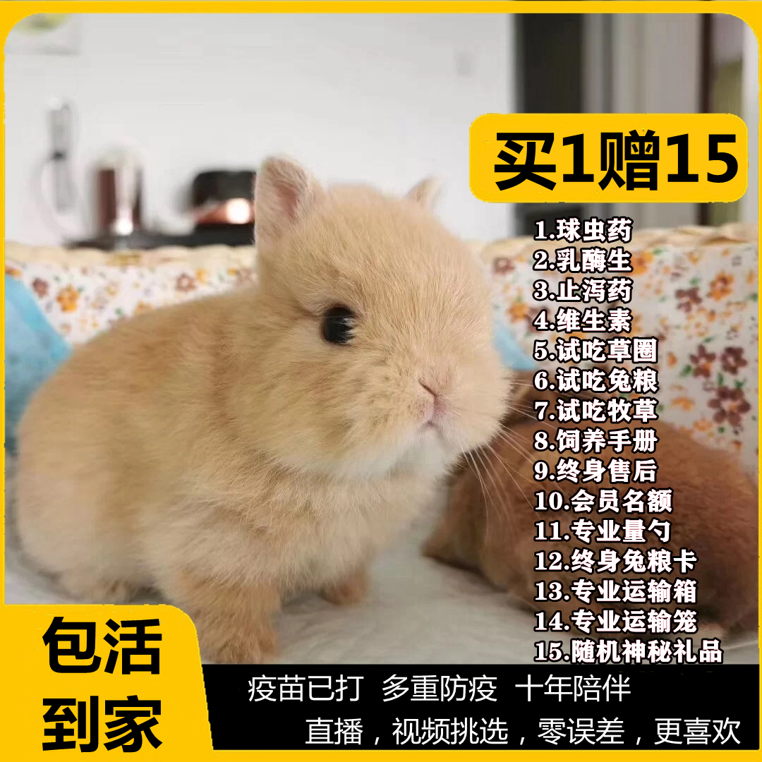 {易七娛樂老虎機}(萌宠狗狗图片大全) {易七娛樂老虎機}(萌宠狗狗图片大全)