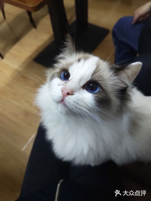 {易七娛樂老虎機}(萌宠狗狗图片大全) {易七娛樂老虎機}(萌宠狗狗图片大全)