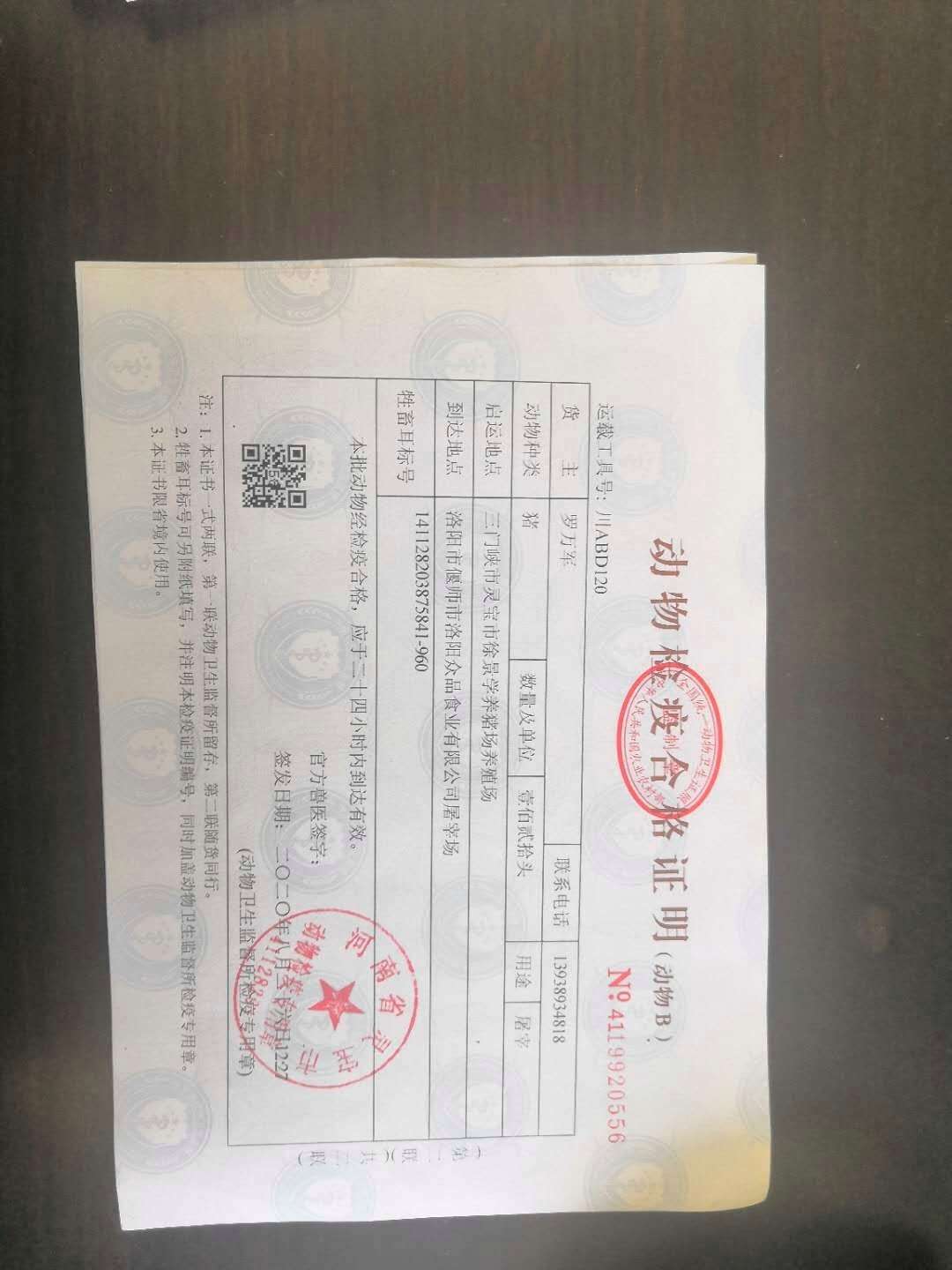 {易七娛樂體育}(宠物检疫证明几天能办下来猫) {易七娛樂體育}(宠物检疫证明几天能办下来猫)