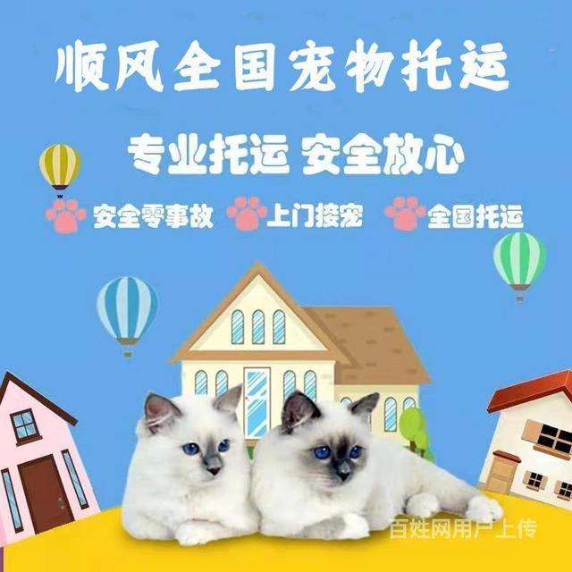 {易七娛樂老虎機}(12306宠物托运官网) {易七娛樂老虎機}(12306宠物托运官网)